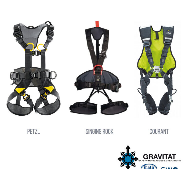 ¿Qué tipos de arnés existen?