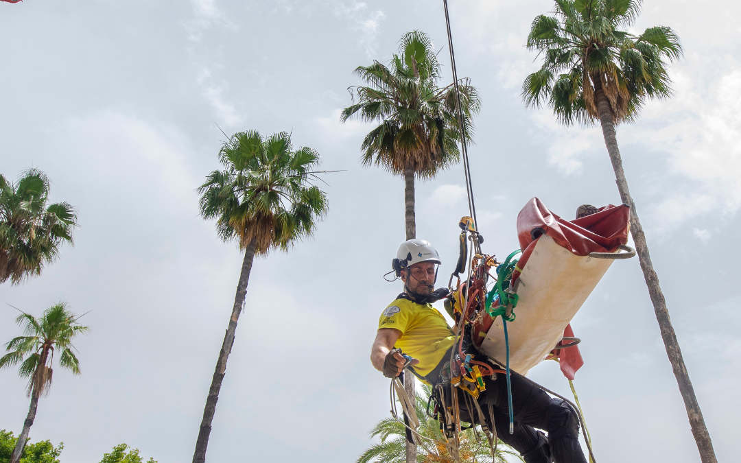 RESCUE GREAT DAY 2022: El escenario más grande del rescate