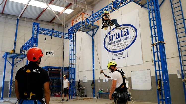 Que es el síndrome del arnés